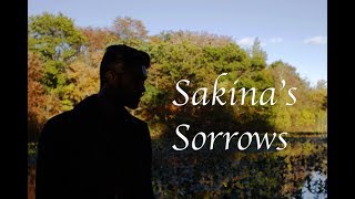 Sakina's Sorrows - Syed Noeshare