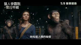 《猿人爭霸戰：猩凶帝國》🦍 全城 IMAX 震撼激戰❗(中文字幕)