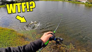 Why Does This ALWAYS Happen!? (Pond Fishing)