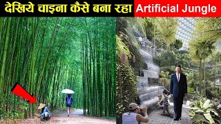 अबतो हद ही करदी नकली जंगल बना डाला। chine artificial forest। china fake forest