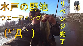 水戸の野池ウェーディングリベンジ！