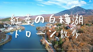 長野県『白樺湖』紅葉ドローン散歩 4K DJI AIr2S ⌘  Autumn Leaves in Nagano Japan