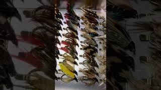 S169_【Wet Fly Tying】本流チャレンジ　My Fly Box #10 その1　【Apple iPhoneで撮るWet Fly】【KFT千夜釣行】