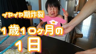 【イヤイヤ期炸裂】1歳10ヶ月のリアルな1日｜2語文が上達＆おままごとで遊ぶ