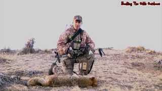 Bucking The Odds BTO Coyote Hunting video 46