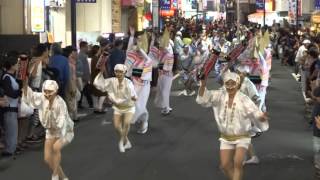 東京ゑびす連 ‐②／ 第46回 初台阿波踊り2015 二日目