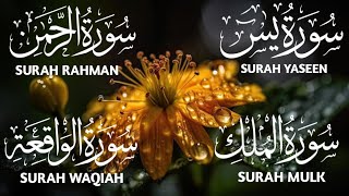 Surah Yaseen (Yasin)💛Surah Rahman 💛Surah Waqiah💛Surah Mulk💛