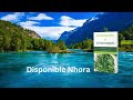 🌿 introducción a la naturopatía descubre el poder de la sanación natural ✨