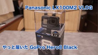 Panasonic LX100M2 VLOG やっと届いたGoPro Hero8 Black #387 [4K]