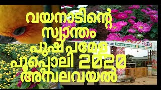 പൂപ്പൊലി 2020 വയനാട് അമ്പലവയൽ വയനാടിന്റെ സ്വന്തം  പുഷ്പഉത്സവം