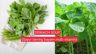 Caraku masak sayur bening bayam| masak di desa resep masakan rumahan by indahkhumaira