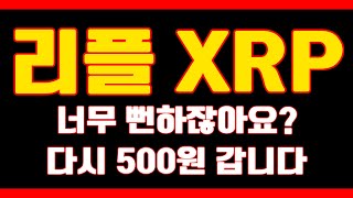 딱 보면 몰라요? 리플은 걍 500원 짜리가 맞아요...