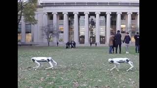 マサチューセッツ工科大学が開発した「ひょう型ロボット」2019年11月10日