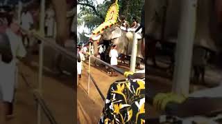 നിലവ് നിർത്താൻ ആനയെ ഇതുപോലെ തല്ലണോ, (Elephant head lifting torture)