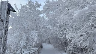 Winter in Saskatchewan | hoar frost