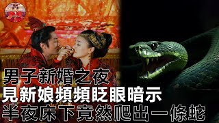 男子新婚之夜，見新娘頻頻眨眼暗示，半夜床下竟然爬出一條蛇！｜家庭故事｜曼努故事