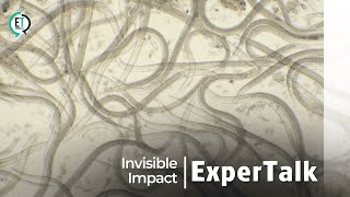 Invisible Impact | ExperTalk