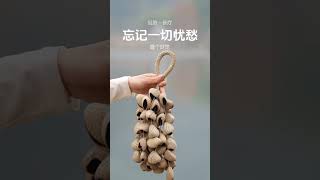 忘忧草，忘掉一切烦恼！ | 音疗 | 焦虑 | 冥想 | 健康