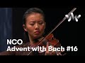 J. S. Bach: Violin Partita No. 2 in D minor, III. Sarabande // Sara Chen, violin