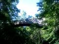 Devils pool