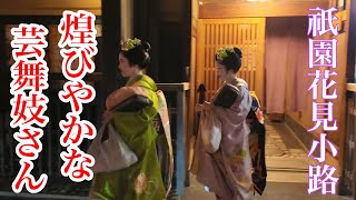 京都祇園 花見小路を往く煌びやかな芸舞妓さん Geisha and Maiko of Gion 【4K】