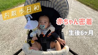 【生後6ヶ月】赤ちゃんの1日｜211日目