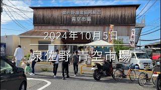 【泉佐野漁港 青空市場】サメが触れる⁉︎『斬新な魚市場』超極秘市場を暴露