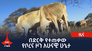 በድርቅ የተጠቃው የቦረና ዞን አሁናዊ ሁኔታ Etv | Ethiopia | News