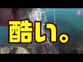 2019秋アオリ・嫁さんとエギングに行く。福井。