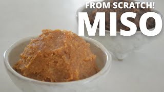 How To Make ★homemade Miso★from Scratch～みその作り方～（ep79）
