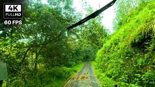 Kumily to Pathanamthitta via Gavi 🔥 NH 183 A 🔥 KSRTC Ride through Periyar National Park 🔥 4K  60 FPS