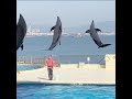 【マリンワールド海の中道】お出かけblog【1歳初めての水族館】【福岡市オススメスポット】