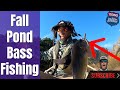 Fall Pond Fishing for Bass!!