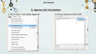 WORKSHOP 4: CLONING SIMULATION BY SNAPGENE