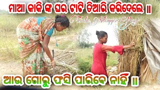 ମାଆ କାକି ଙ୍କ ଘର ଟାଟି ତିଆରି କରିଦେଲେ ॥ଆଉ ଗୋରୁ ଫସି ପାରିବେ ନାହିଁ ॥ Tribe Vlogger Rani .