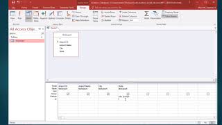 Access queries with wildcards, parameter queries