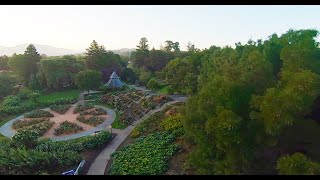 Cinematic FPV at the Rose Garden in Heather Farms