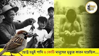 ইতিহাসের সবথেকে ভয়ানক ভুল একটা চড়ুই পাখি হয়েছিল ৪ কোটি মানুষের মৃত্যুর কারণ|| Itihas Anusandhan