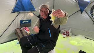 Thawj zaug mus nuv ntses ice fishing || first time ice fishing yellow bass in MN