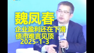 🧠【重磅解读】魏凤春 企业盈利还在下滑 2025债券市场年度论坛（2025 1 3 ）