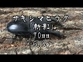 カブトムシクワガタ最強決定戦 ミドル級gp 旧スーパーミドル級