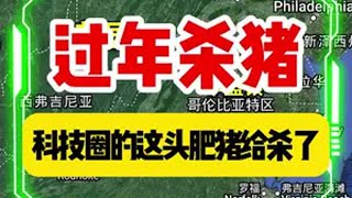 过年了，我们杀科技圈的肥猪 美国 dsspseek 过年啦过年啦 国际新闻