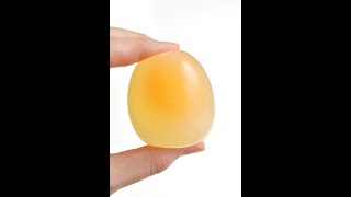 Egg in Vinegar Experiment 🥚