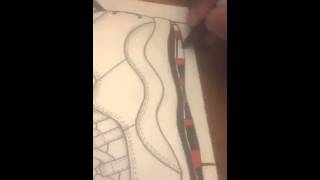Speed drawing "Chicago" Jordan 10s