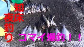 【知床釣り】６月お魚天国知床！ウトロ漁港夜釣り！コマイとか爆釣！！