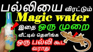 1நிமிடம் இதை செயுங்க இனி வீட்டுப்பக்கம்  பல்லி வராது | palli varamal irukka | palli varamal erukka