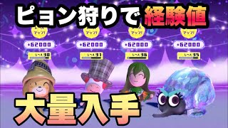 ピョン狩りをして大量に経験値を稼ぐ方法【ミートピア Miitopia Switch】