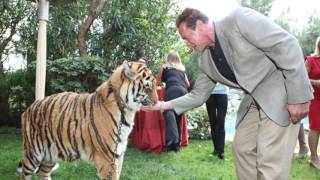 Arnold Fest '17 - Arnold's Cat Tries to Kill Him