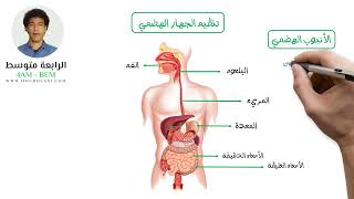 4AM BEM - تنظیم الجھاز الھضم - الرابعة متوسط