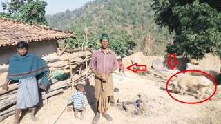 Dangerous Tribal Area in India | Remote Tribal Village in Odisha | Kandhamal Tribes | Tribal People